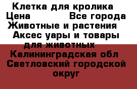 Клетка для кролика › Цена ­ 5 000 - Все города Животные и растения » Аксесcуары и товары для животных   . Калининградская обл.,Светловский городской округ 